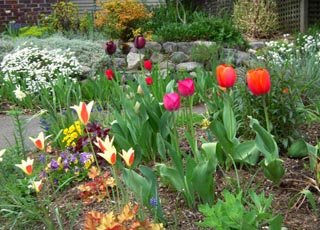 Лунный календарь огородника и садовода на апрель 2024 года и влияние фазы луны на посадку растений