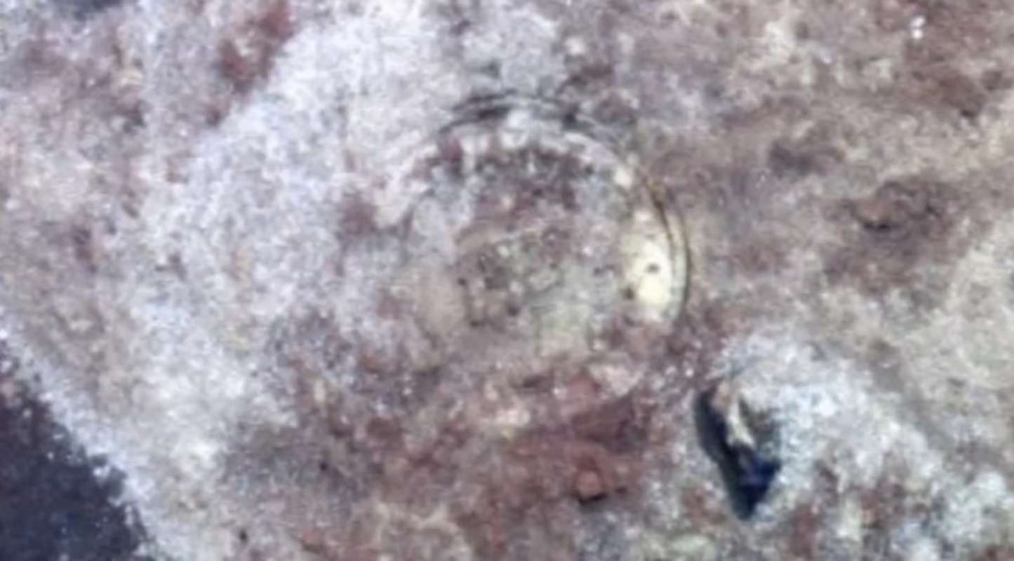 Уфологи обнаружили на Марсе диск шумеров