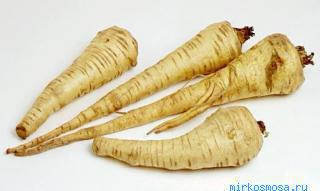 Корень — Кулинарный сонник Корень — Кулинарный сонник