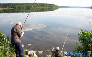 Асбест — Новейший сонник Иванова Асбест — Новейший сонник Иванова