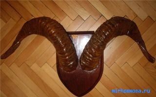 Рога - Новейший сонник Иванова Рога - Новейший сонник Иванова