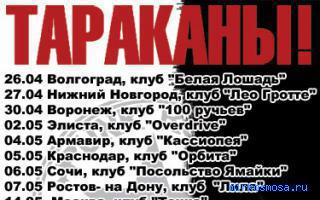 Тараканы — Новейший сонник Иванова Тараканы — Новейший сонник Иванова