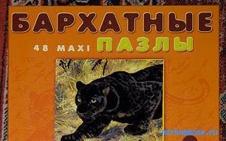 Пантера — Новый семейный сонник Пантера — Новый семейный сонник