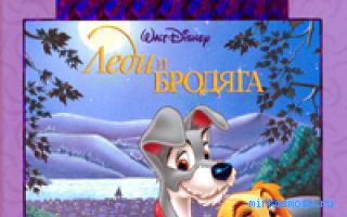 Бродяга - Новый семейный сонник Бродяга - Новый семейный сонник