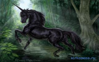 Единорог — Восточный женский сонник Единорог — Восточный женский сонник