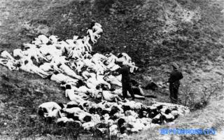 Расстрел — Восточный женский сонник Расстрел — Восточный женский сонник