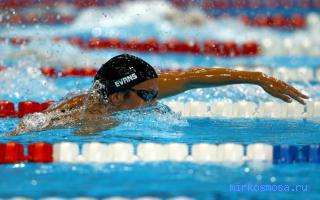 Чемпион — Восточный женский сонник Чемпион — Восточный женский сонник