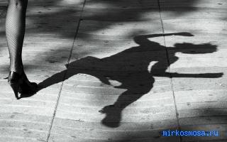 Тень — Дворянский сонник Гришиной Тень — Дворянский сонник Гришиной
