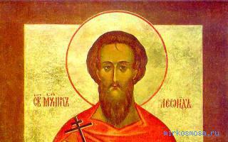 Мученик — Сонник Дениз Линн (подробный) Мученик — Сонник Дениз Линн (подробный)