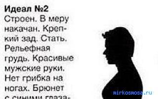 Рассказ родинка и продкомиссар