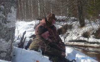 Удочка во сне видеть Удочка во сне видеть