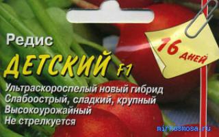 Редис — Детский сонник Редис — Детский сонник