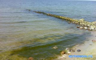 Море — Сонник Майя Море — Сонник Майя
