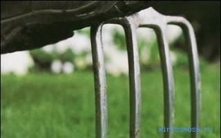 Вилы — Сонник Миллера Вилы — Сонник Миллера