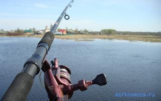 во сне видеть удочка во сне видеть удочка