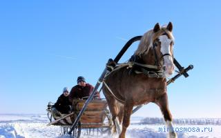 Сани — Древнерусский сонник Сани — Древнерусский сонник