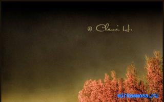 Печаль — Сонник Хассе Печаль — Сонник Хассе