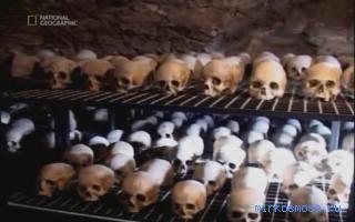 форма скандинавского мертвый сон по цветкову светильника