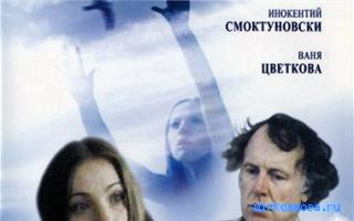 Бродяга - Сонник Цветкова Бродяга - Сонник Цветкова