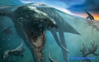 Море — Сонник Шиллера-Школьника Море — Сонник Шиллера-Школьника