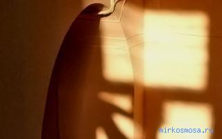 Тень — Сонник Шуваловой Тень — Сонник Шуваловой