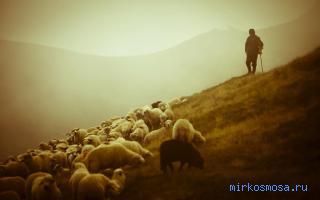 Пастух — Старинный французский сонник Пастух — Старинный французский сонник