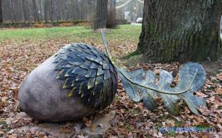 Желудь — Украинский сонник Желудь — Украинский сонник