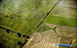 Пол — Украинский сонник Пол — Украинский сонник