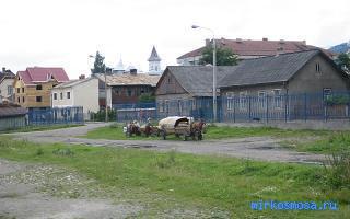 Повозка — Цыганский сонник Повозка — Цыганский сонник