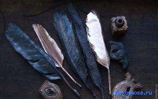 Перья — Эзотерический сонник Перья — Эзотерический сонник