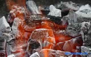 Тошнота - Эзотерический сонник Тошнота - Эзотерический сонник