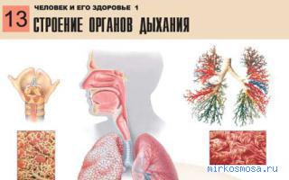 Дыхание — Эротический сонник Даниловой Дыхание — Эротический сонник Даниловой