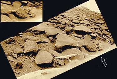 Сложная симметричная форма и другие особенности объекта «странный камень» (стрелка ) выделяют его на фоне каменистой поверхности планеты в точке посадки «Венеры-9».
