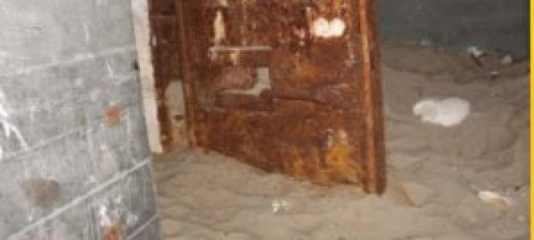 Шокирующее фото из Приморья: В заброшенном бункере нашли реального пришельца? 