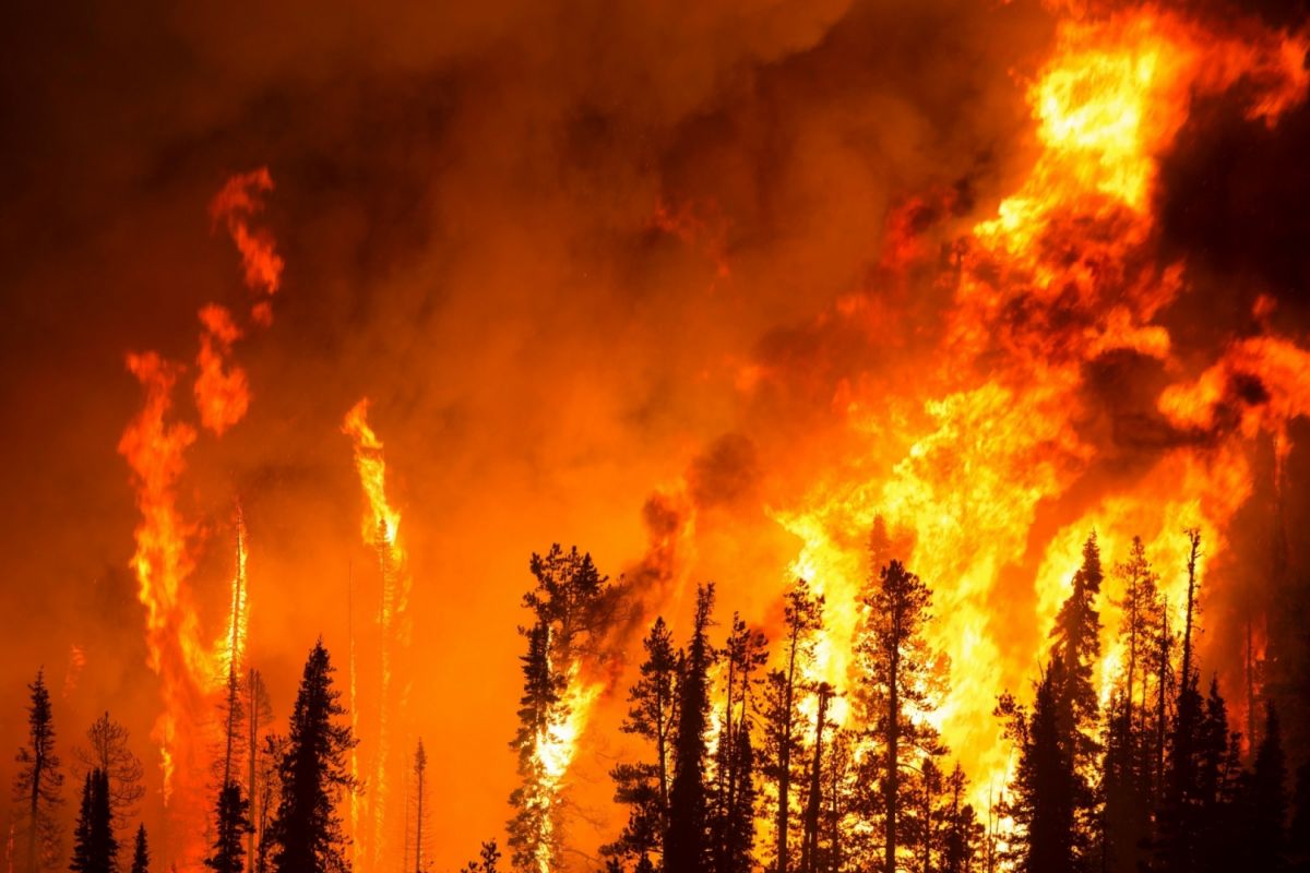 В Казахстане крушение НЛО стало причиной пожара в национальном парке