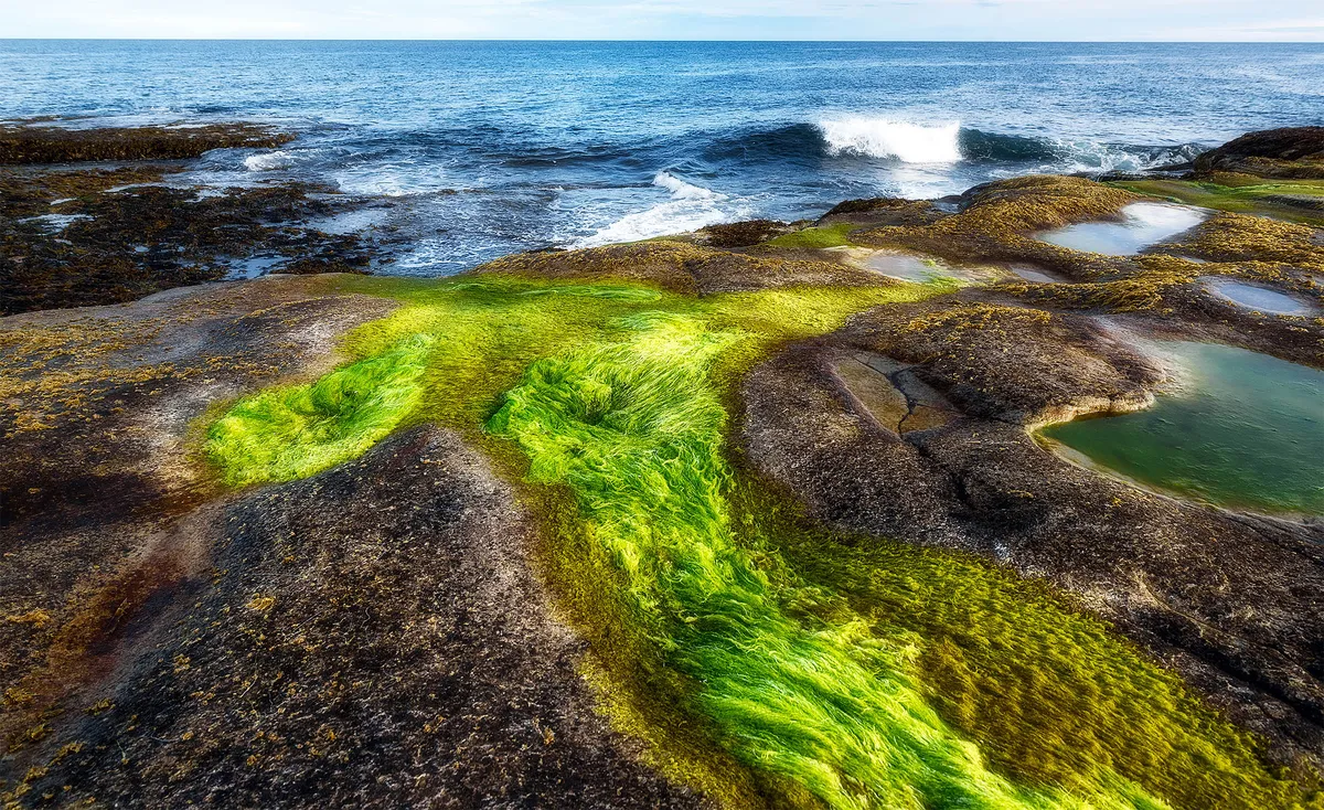 Разные ритмы планеты: Почему соседние регионы живут в разных сезонах