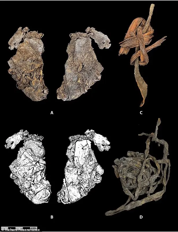 Древнейшая одежда на Земле: находка в орегонской пещере переписывает историю человечества