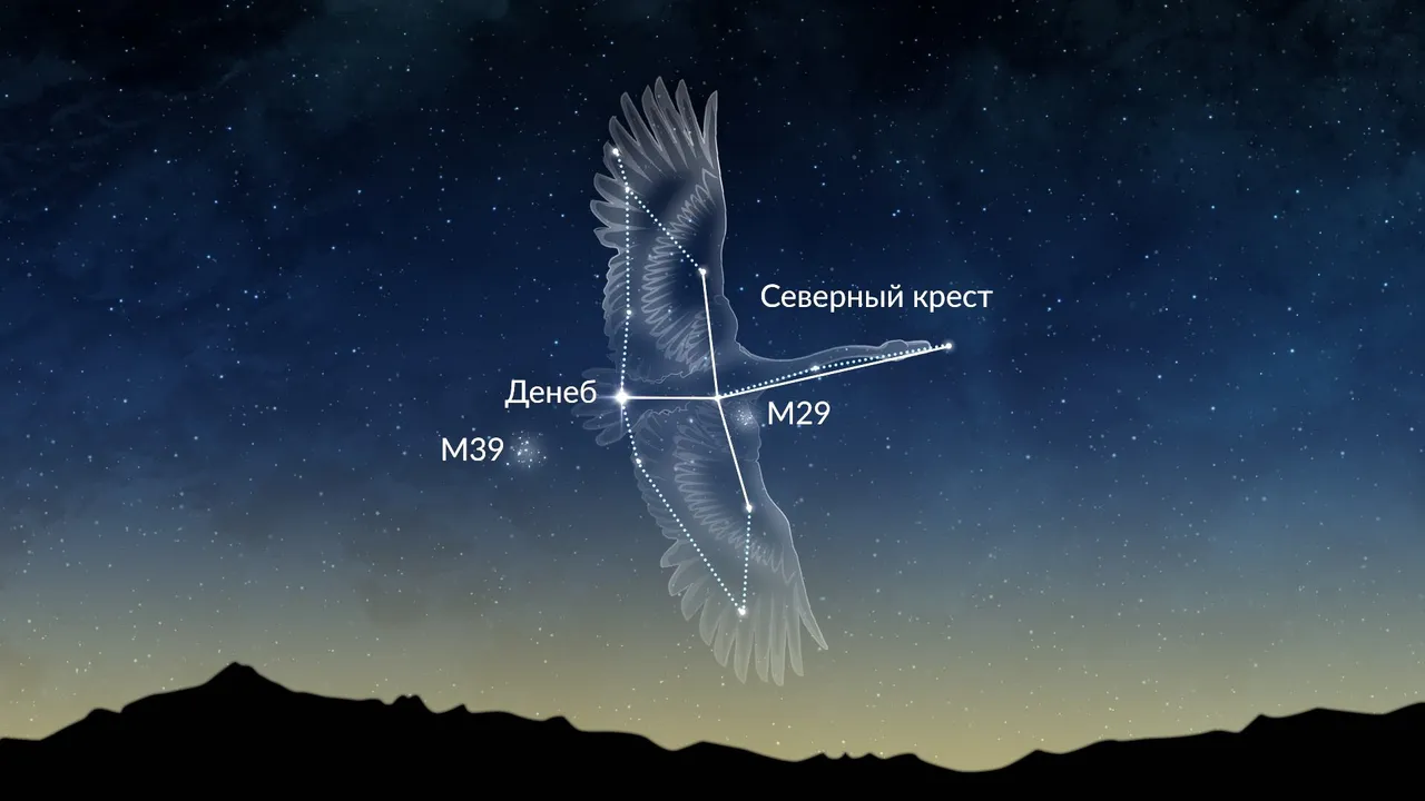 Созвездие Лебедя