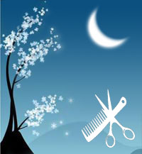 Лунный календарь стрижек (благоприятные дни стрижки волос)