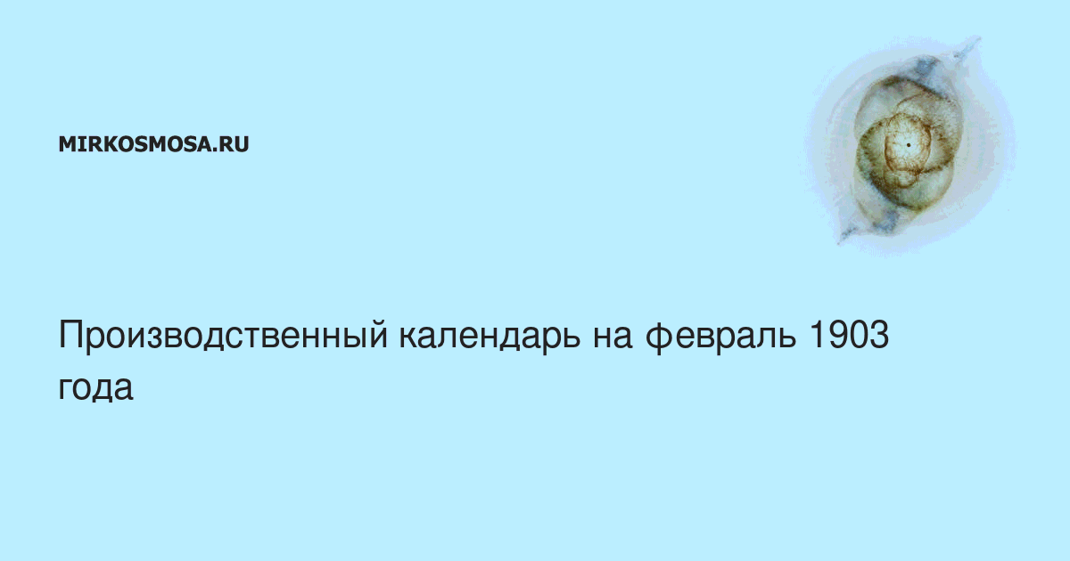 Покраска в феврале 2024 благоприятные. Лунный календарь стрижек на февраль 2024. Календарь стрижек на февраль 2024.