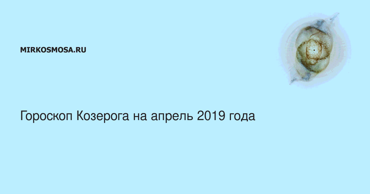 Гороскоп на 12 апреля 2024 козерог. Гороскоп Стрелец на 2024.