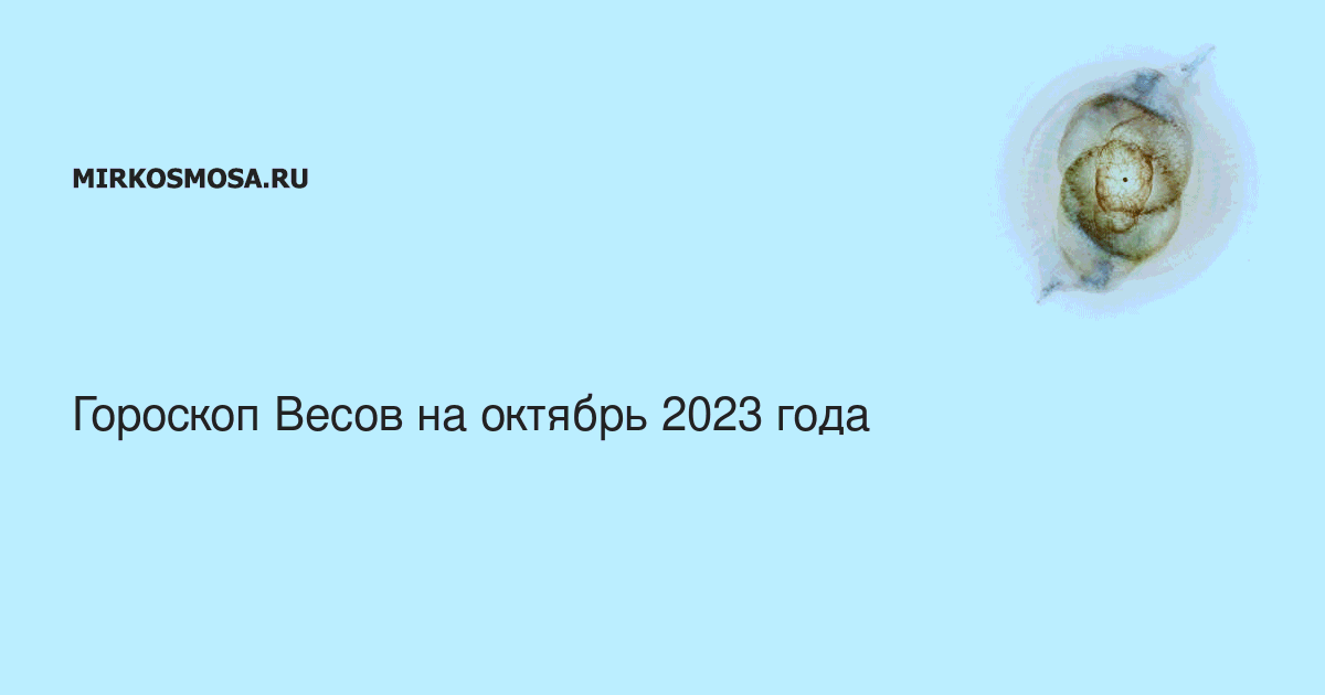 Гороскоп рак октябрь 2023