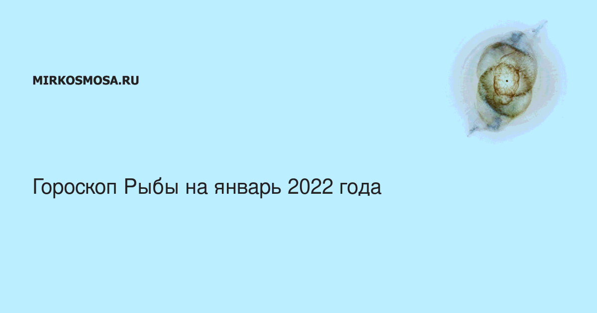 Гороскоп на Январь 2024: Рыбы