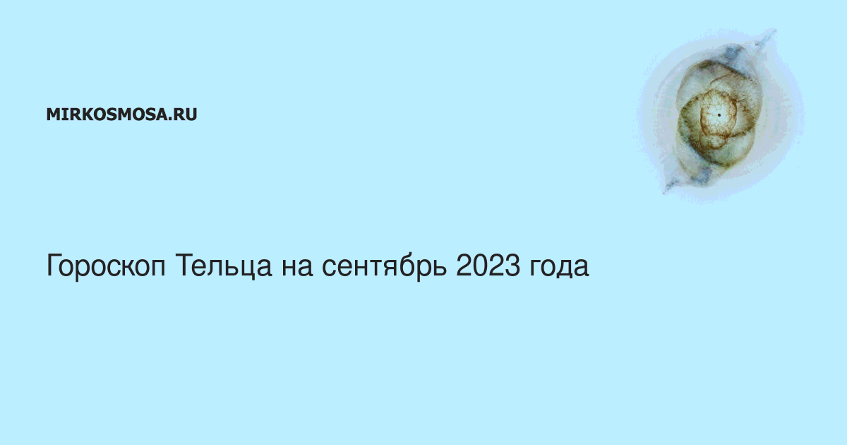 Гороскоп телец 2023