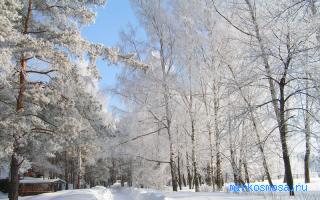 Верхом — Новейший сонник Иванова Верхом — Новейший сонник Иванова