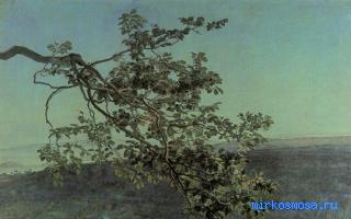 Ветки — Новейший сонник Иванова Ветки — Новейший сонник Иванова