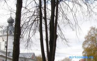 Визит — Новейший сонник Иванова Визит — Новейший сонник Иванова