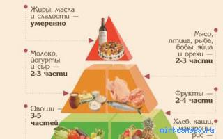 Желудок — Новейший сонник Иванова Желудок — Новейший сонник Иванова