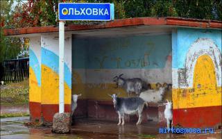 Литавры — Новейший сонник Иванова Литавры — Новейший сонник Иванова