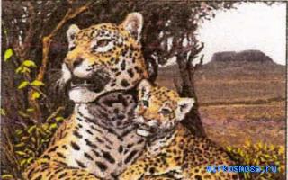 Наволочка — Новейший сонник Иванова Наволочка — Новейший сонник Иванова